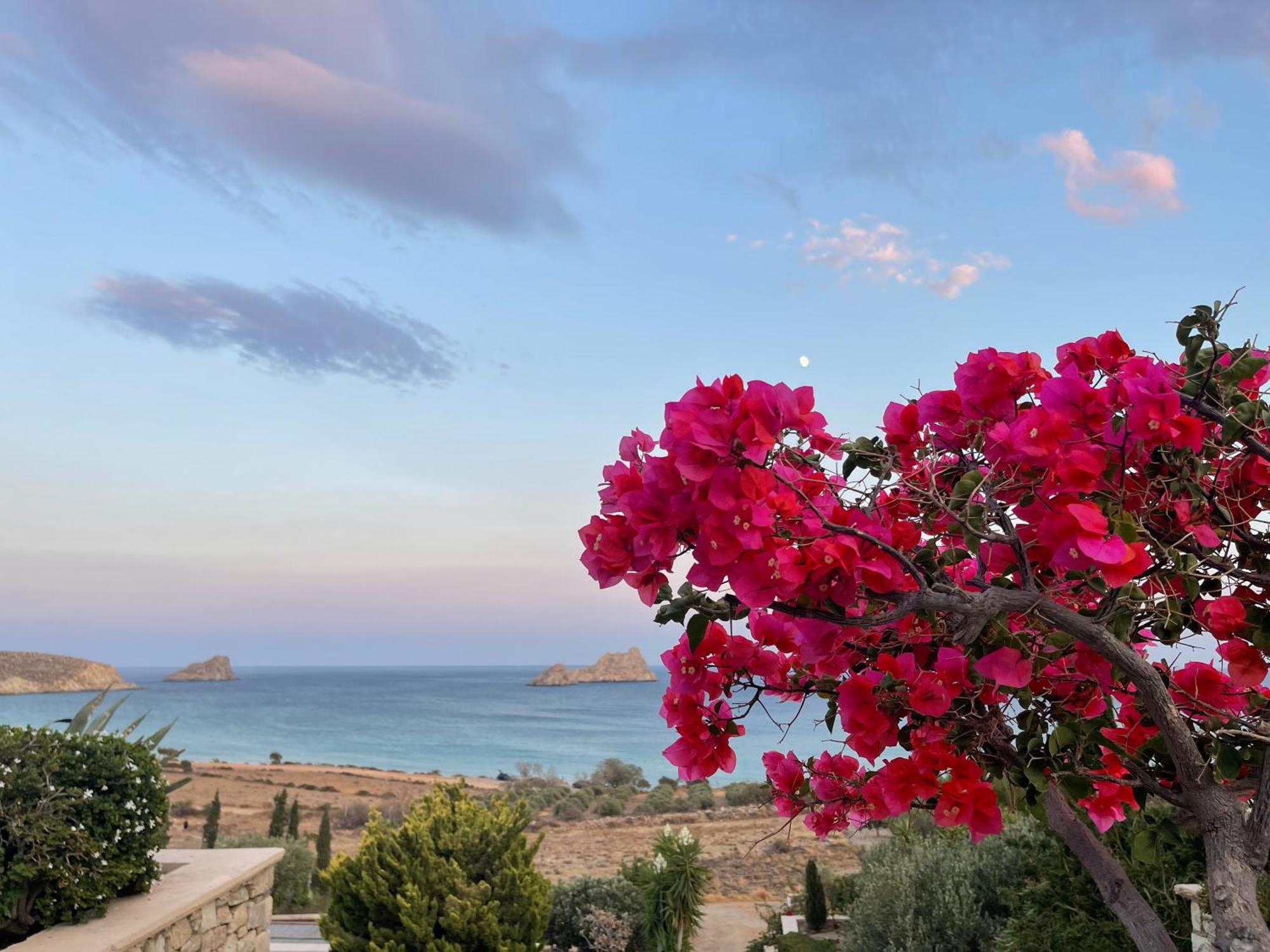 Natica Mare Villas أكسيروكامبوس المظهر الخارجي الصورة