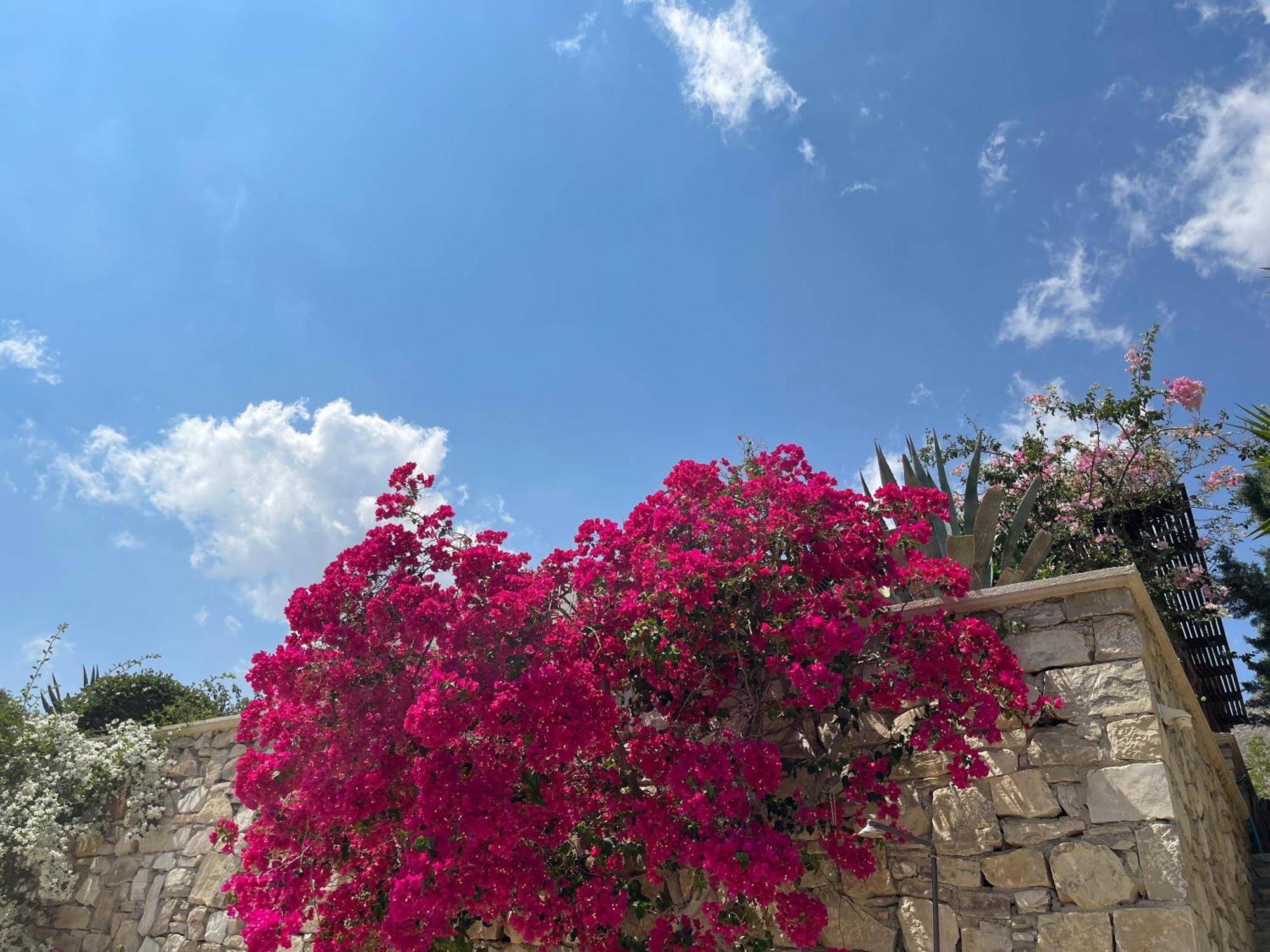 Natica Mare Villas أكسيروكامبوس المظهر الخارجي الصورة
