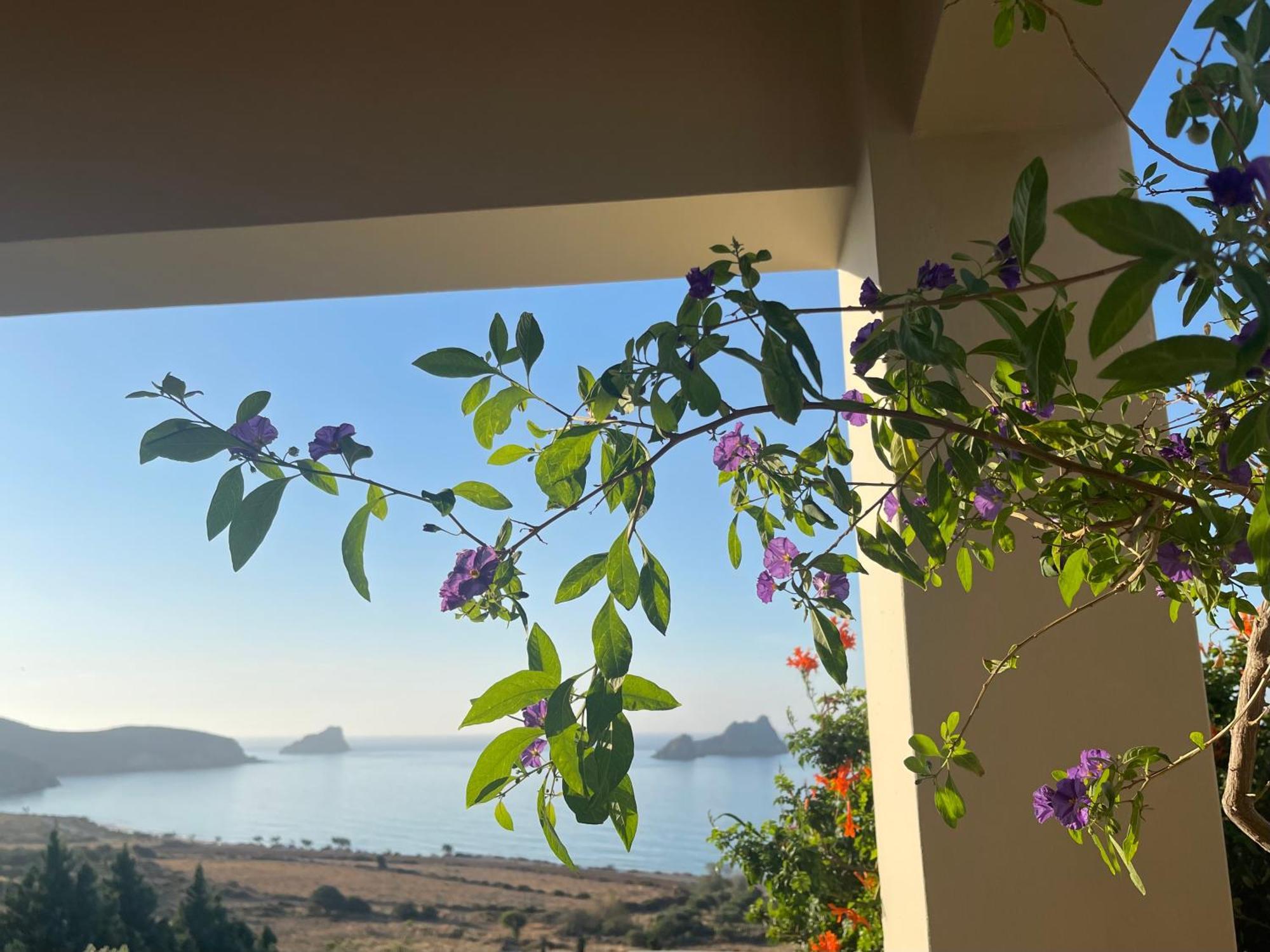 Natica Mare Villas أكسيروكامبوس المظهر الخارجي الصورة
