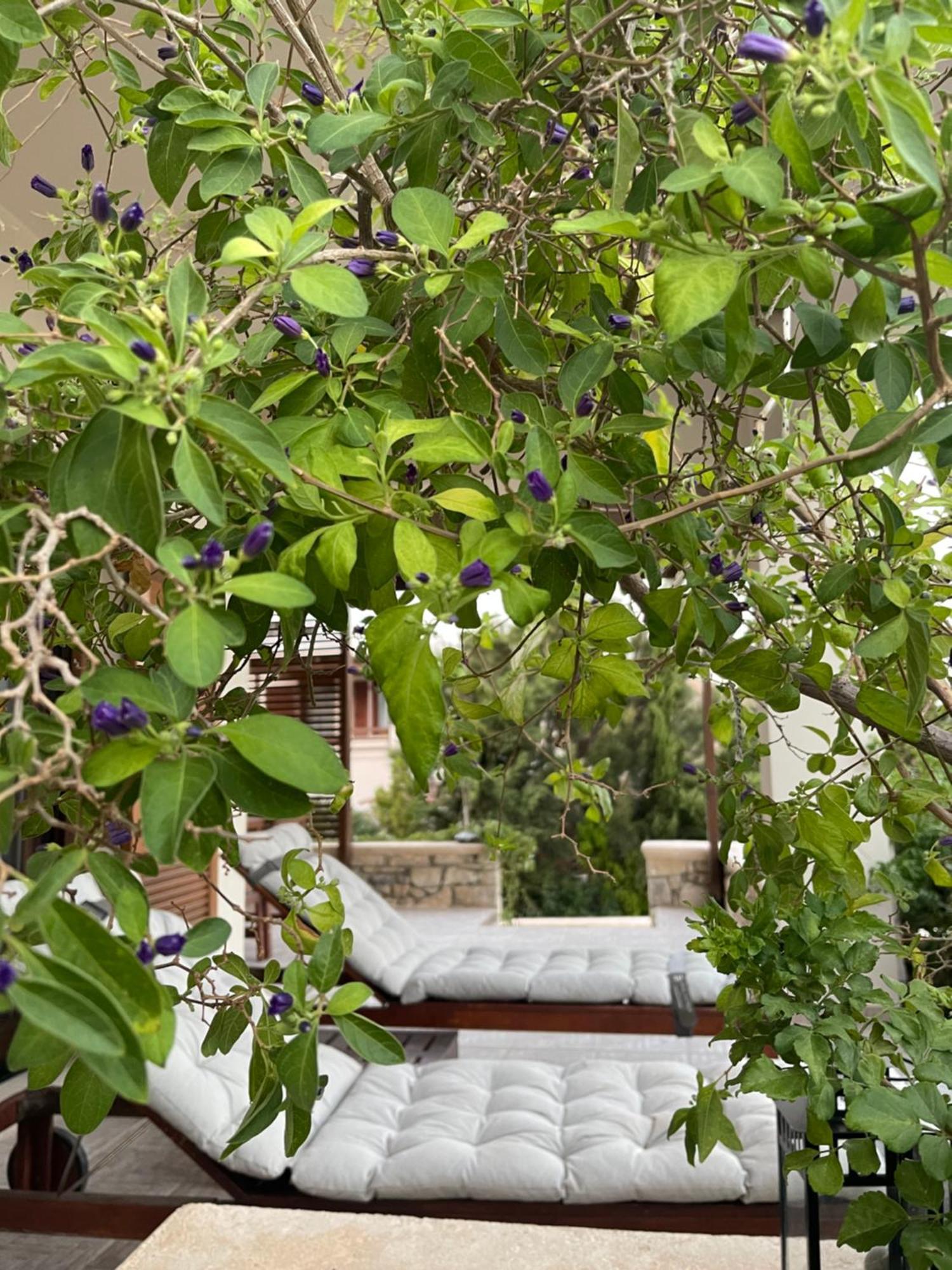 Natica Mare Villas أكسيروكامبوس المظهر الخارجي الصورة