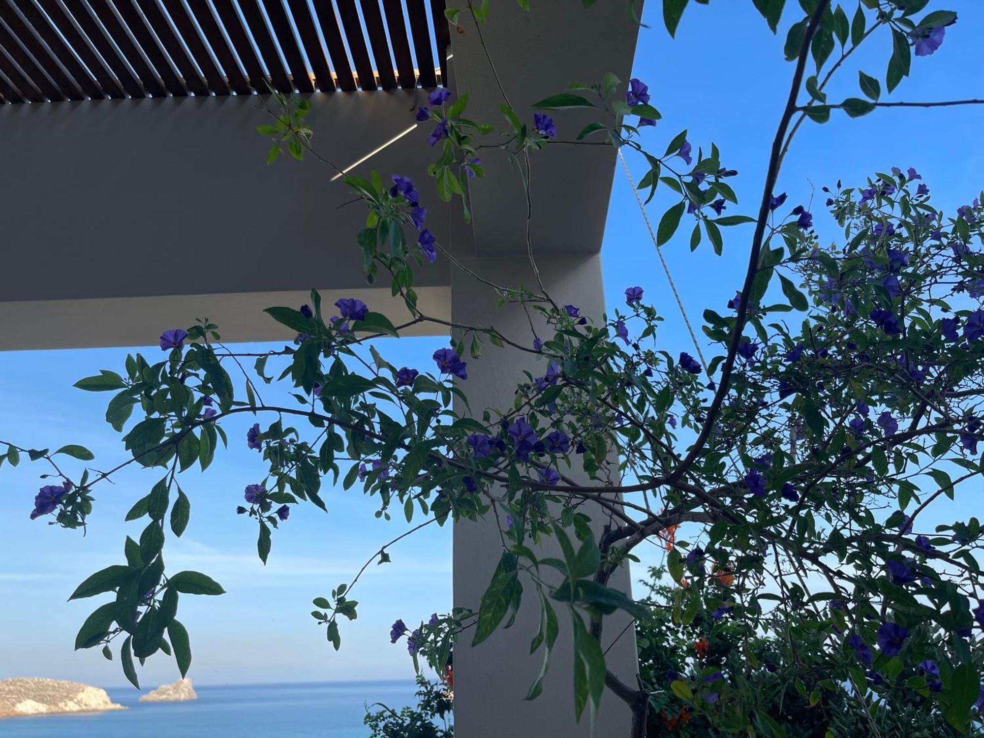 Natica Mare Villas أكسيروكامبوس المظهر الخارجي الصورة
